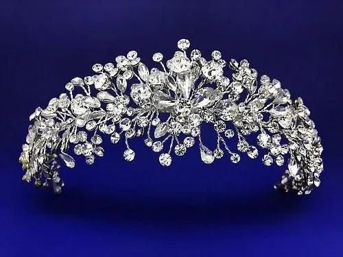 Dazzling Crystal Spray Wedding Headband Headpiece